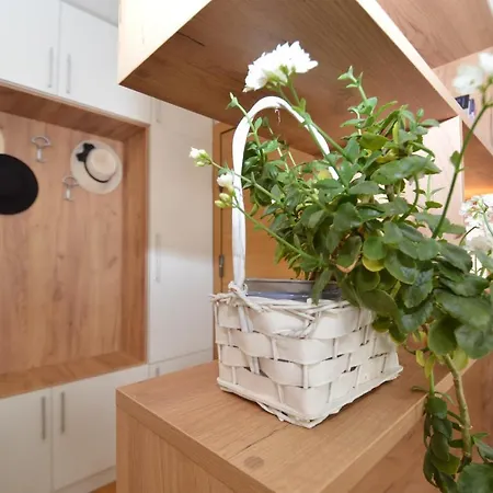 Apartman Shine24 - Spacious And Bright *